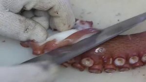 Уличная еда Кореи - Огромный осьминог.