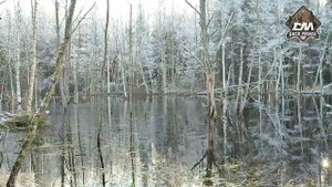 охота с сминаемы чучелам на чирка