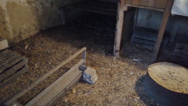ДОПОЛНИТЕЛЬНОЕ ОСВЕЩЕНИЕ В КУРЯТНИКЕ  - необходимое условие сохранения высокой яйценоскости зимой