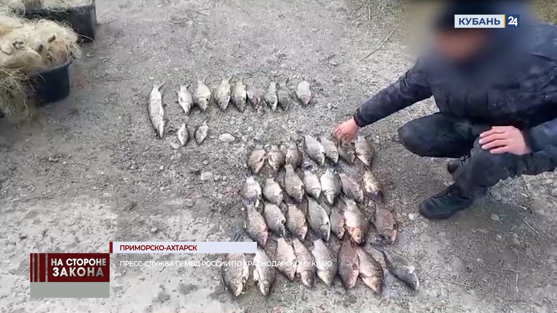 Браконьеры выловили 330 особей рыбы на 140 тыс. рублей в Приморско-Ахтарске