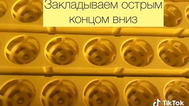 Как закладывать яйца в инкубатор смотреть онлайн