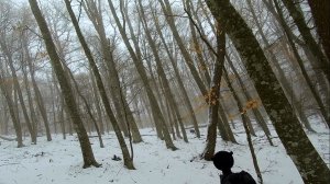 Красивая зимняя охота на кабана в крымских горах