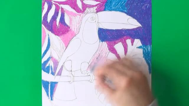 Тукан пастелью смотреть онлайн