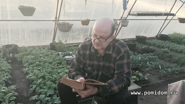 Плодородие Почвы. Урок первый. Как повысить плодородие почвы на участке с помощью одного удобрения