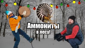 Новогодние танцы с бубном! Аммониты в зимнем лесу. Поздравление от канала ПалеоМыжъ!