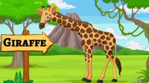 Wild Animals | Wild animals for kids | Wild animals name |  Home based school | #wildanimal #animal