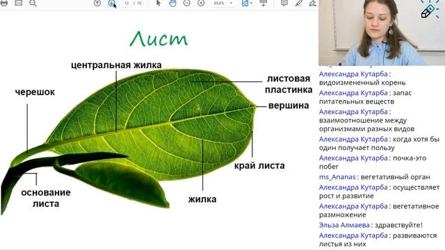 ЕГЭ2020. БИОЛОГИЯ. «Ботаника: вегетативные органы растений» смотреть онлайн