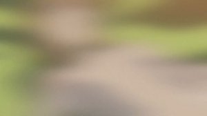 КАК МЫ С МУЖИКАМИ БОКУ НО ПИКО СМОТРЕЛИ И ОЗВУЧИВАЛИ