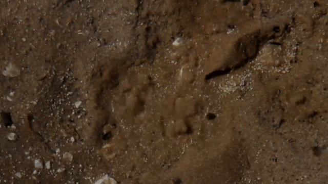 ключи родника смотреть онлайн