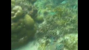 Сноркелинг на острове Боракай, Филиппины. Увидеть дно океана. 0+