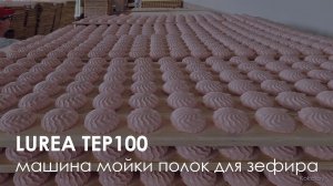 Машина мойки зефирных полок Lurea TEP100