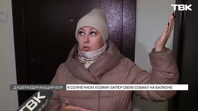 Новости ТВК 14 ноября 2022: теракт в Стамбуле, проблемы российского авторынка и погода на неделю