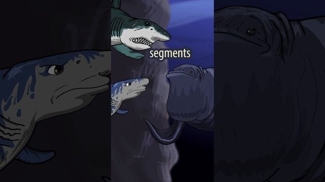 The Bloop VS The Meg? Megalodon's here #shorts  #animation