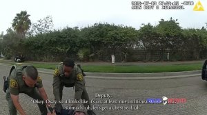 Orange County Deputy Shoots Man Suspected of Killing His Parents and Dog (1080p)