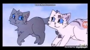 Коты Воители - Искра и Голубка(Ivypool and Dovewing) - Заказ с канала Голубка Р