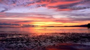 А  Розенбаум - Сусуманская