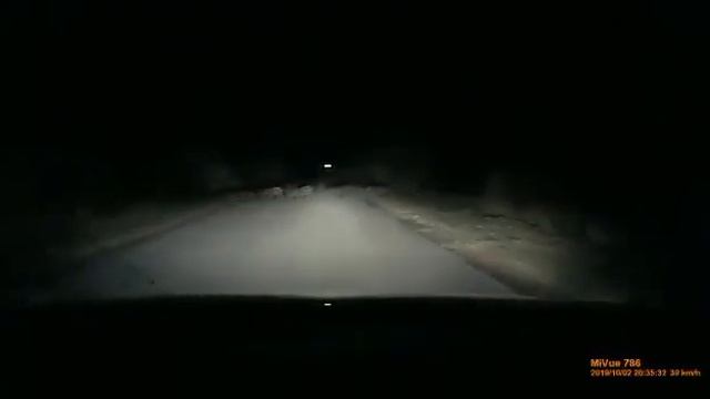 ЛЮБАРСКАЯ ЗА РУЛЁМ ВИДИТ ЖИВОТНОЕ И ХОЧЕТ ЗАДАВИТЬ В ТЕЧЕНИЕ 7 СЕКУНД смотреть онлайн