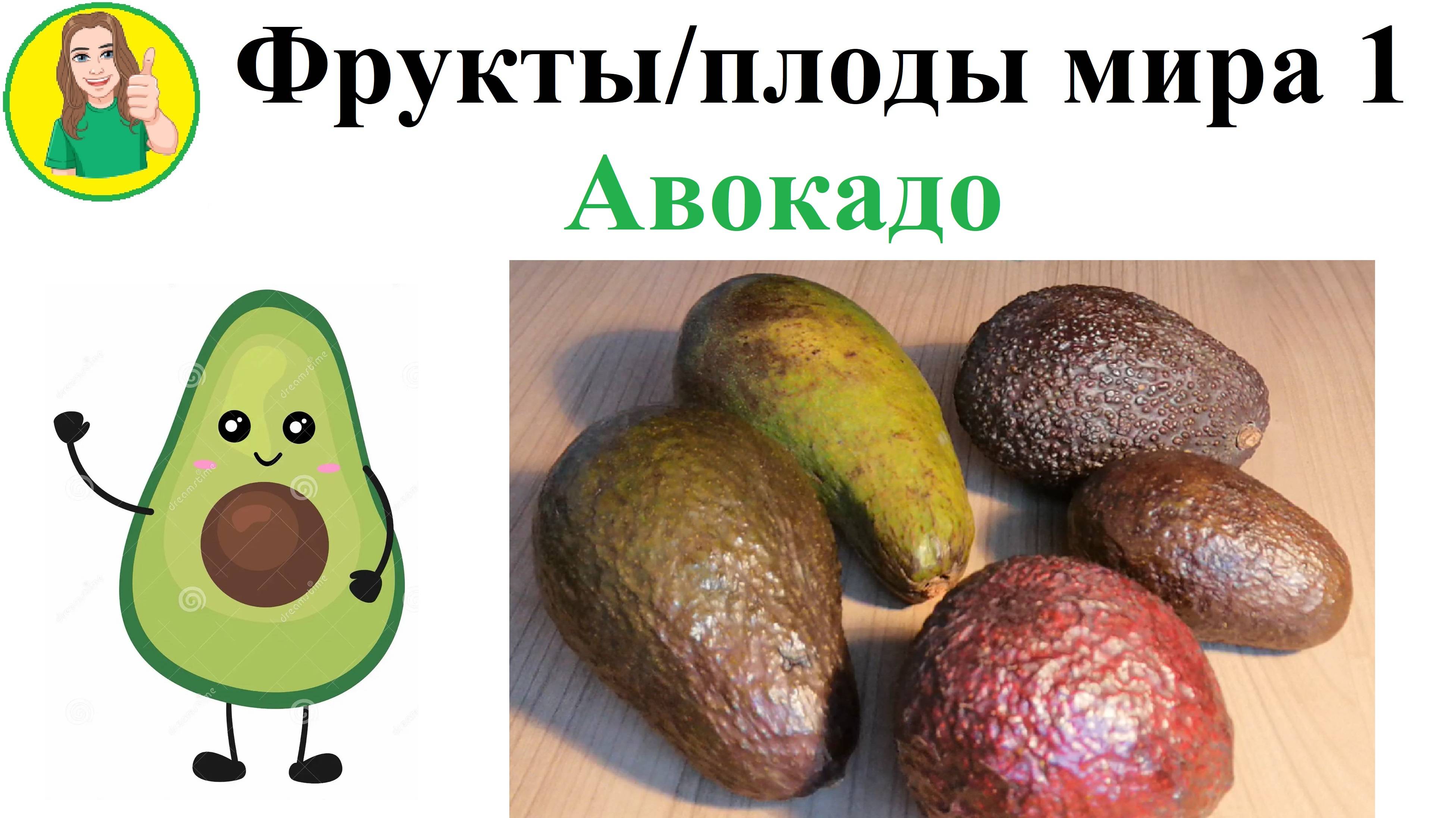 Фрукты - плоды мира 1 – Авокадо Сыроедение Фрукторианство