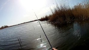 Мормышинг ранней весной. Уклейка и красноперка на мормышку.