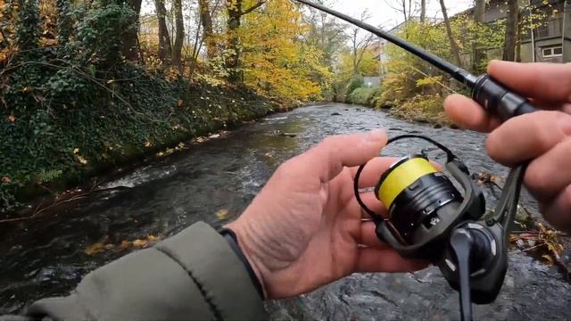 Закрыл сезон по ФОРЕЛЕ, получилось круто, смотри и кайфуй!#fishing #troutfishing #forellenangeln