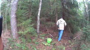 В поисках грибов возле озера Высокинского и поселка Лужки, Ленинградская область