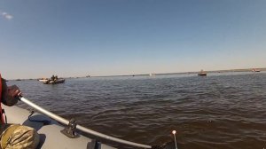 Корюшка с лодки на Финском заливе