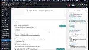 Импорт товаров по ссылке XML или CSV в WooCommerce |  WP All Import
