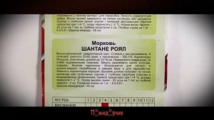 Семена Морковь Шантане Роял GOLD - Помидорчик