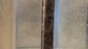 Живая вода своими руками