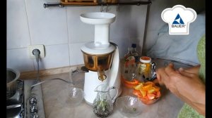 ОВОЩНОЙ СОК В СОКОВЫЖИМАЛКЕ BAUER