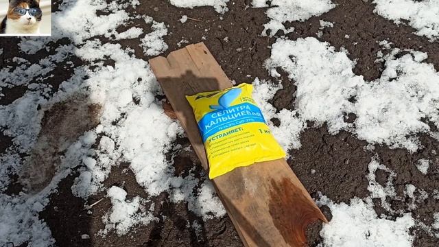 Подготовка огорода весной.  Какие удобрения вносить по снегу
