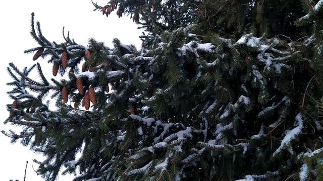 9 января- СТЕПАНОВ ДЕНЬ.Как притянуть денежные потоки.Похороните свою грусть-печаль.Народные примет