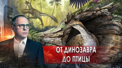 Загадки эволюции: от динозавра до птицы. Самые шокирующие гипотезы с Игорем Прокопенко (15.03.2021).