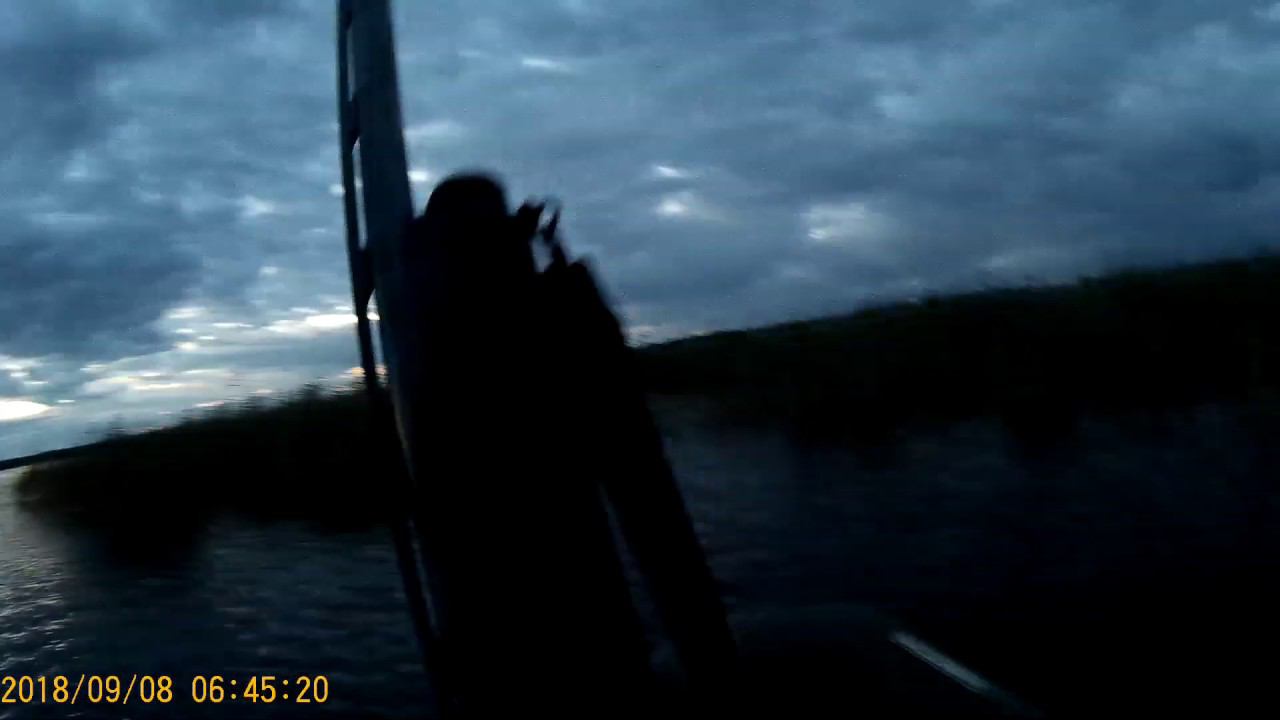 Охота Сентябрь 2018 (часть 1) смотреть онлайн