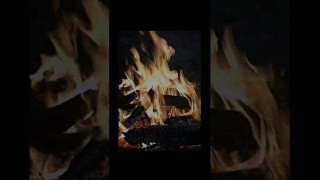 Звук костра и треск дров в лесу. Атмосфера природы