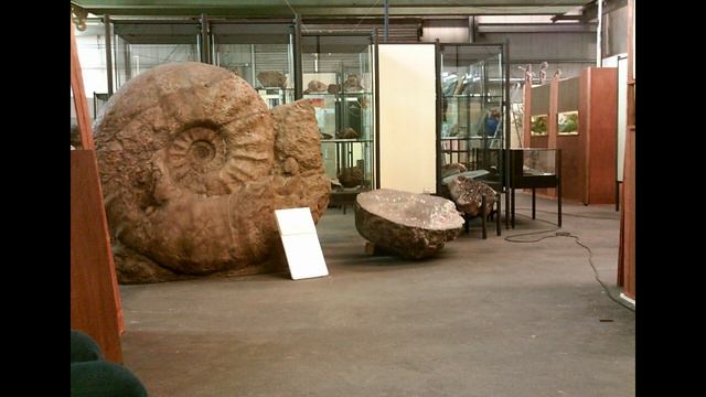 Аммониты смотреть онлайн