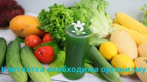 Почему клетчатка необходима организму?