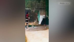 Удивительные фиаско