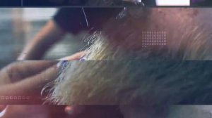ПОКРАСИЛИ БОРОДУ В ЗЕЛЕНЫЙ ЦВЕТ + КАК ПРАВИЛЬНО СТРИЧЬ БОРОДУ // How to cut a beard coloring green