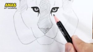 How to Draw a TIGER | Pencil Drawing Tutorial (step by step)