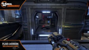 Unreal Tournament : Flak cannon guide