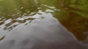 Куровское озеро.