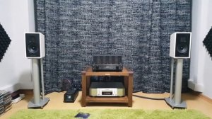 Martin Logan Motion 15 with Line Magnetic 216ia integrated tube amp