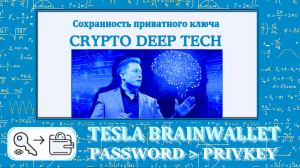 Tesla BrainWallet ловушки от Биткоин кошельков остерегаемся фишинга и популярных парольных фраз