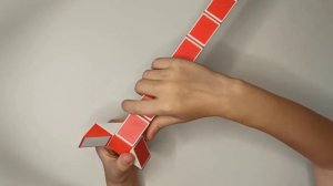 Змейка Рубика 24 элемента. Черепашка, сборка