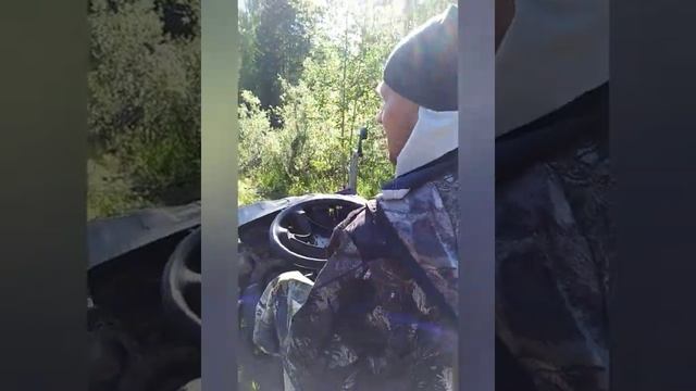 Сбор зелёной с основой шишки. Заработок в деревне.