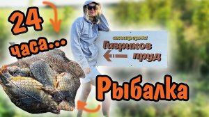 ЗЕРКАЛЬНЫЙ КАРП / Уехали с палатками / Рыбалка 24 часа