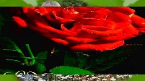 С Днём рождения, Людмила Сергеевна!