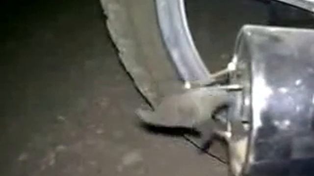 Nasadkana_gluwak_moped_Alfa-spaces.ru смотреть онлайн