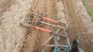 Копаем картошку Т-25+плуг